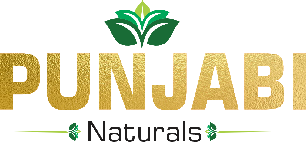 Punjabi Naturals logo